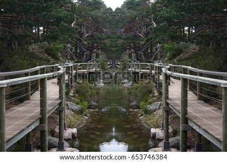 Abstract Symmetrical Photographs of Wooden Paths with Railing, Abstract symmetrical pictures , Black Lagoon of Picos de Urbión, Soria, Spain,abstract photography surreal, expressionist, naturalist,  