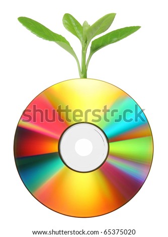 Young Green Leaf and colorful CD.