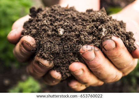 hands holding pile of ground in the garden Royalty-Free Stock Photo #653760022