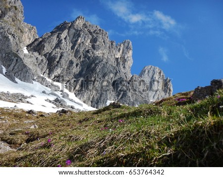 alpine lansdcape around Grosse Bischofsmutze in dachsteingebirge in austria in the early spring