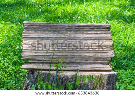 Blank rustic wood sign on tree log with green foliage and grass background; nature background with wooden texture copy space
