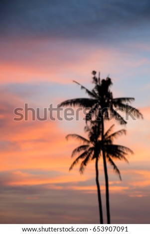 Blur silhouetted of coconut tree during sunset