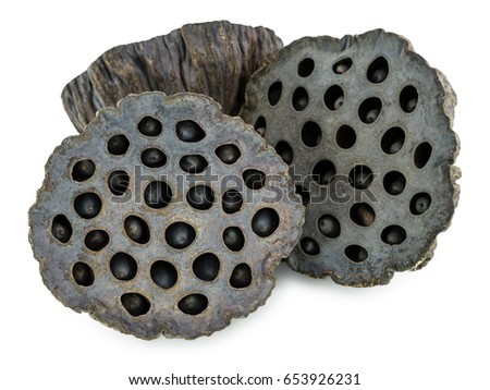 dry lotus pods and seeds isolated on white background