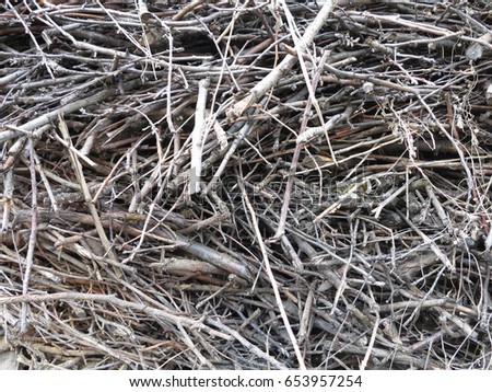 Abstract background of dry stack thin firewood.