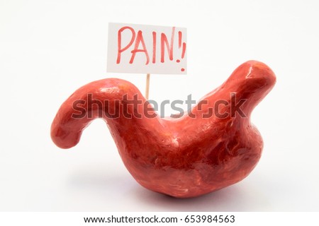 Illustration concept of pain symptom or syndrome in pathologies and diseases of stomach as ulcer, gastritis, heartburn. Anatomical model of stomach is next to poster on which written in red word pain Royalty-Free Stock Photo #653984563