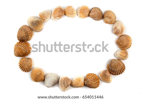Oval frame of seashells isolated on white