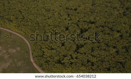 Forest and field with a trail aerial photography