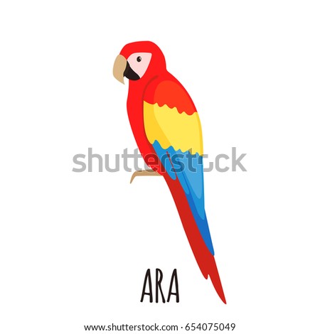 Cute Ara parrot in flat style isolated on white background. Bird of Amazonian forests. Fauna of South America. Zoo bird. Vector illustration.