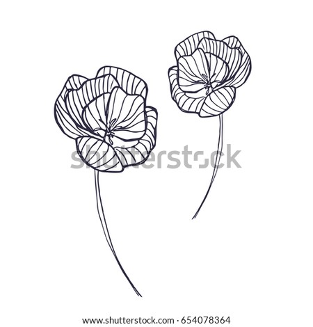 Black and white ink hand drawn wild flowers in vector