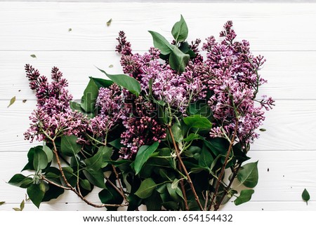 lilac flowers on white rustic wooden background. top view of blooming in light with space for text. hello spring. beautiful springtime image with pink petals and buds