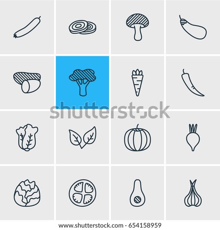 Vector Illustration Of 16 Food Icons. Editable Pack Of Beet, Tuber, Cole And Other Elements.