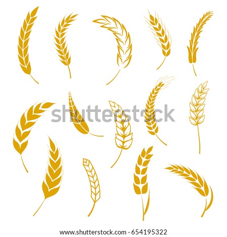Set of simple wheats ears icons and grain design elements for beer, organic wheats local farm fresh food, bakery themed wheat design, grain, beer elements. Vector illustration eps10 Royalty-Free Stock Photo #654195322