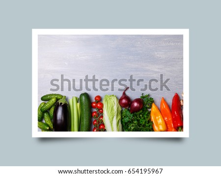 Vegetables. Tomato, cucumber and onion. Pepper, zucchini and eggplant. Salad and parsley. Organic food with copy space. Photo frame design with shadow.