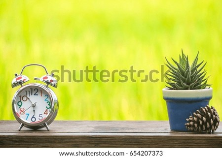 alarm clock near six o'clock , cactus and pine cone on wooden table with blurred green background