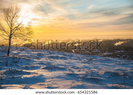 Winter dawn. Trees, birds, the city in the morning under the snow. Winter background. Saratov, Russia.