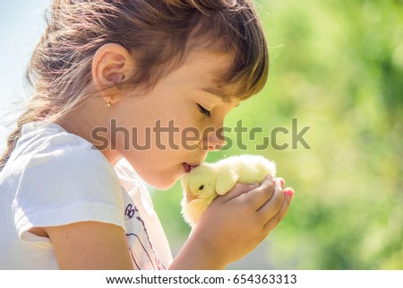 The child holds a chicken in his hands. The girl and the bird. Selective focus. 