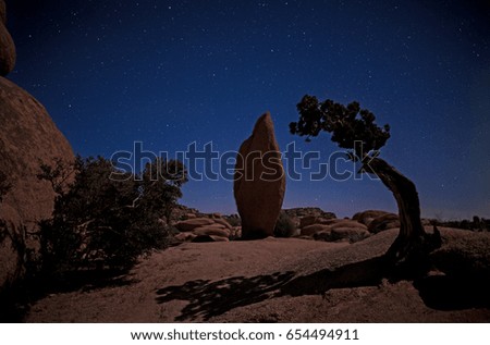 The Stars over Joshua Tree National Park in California