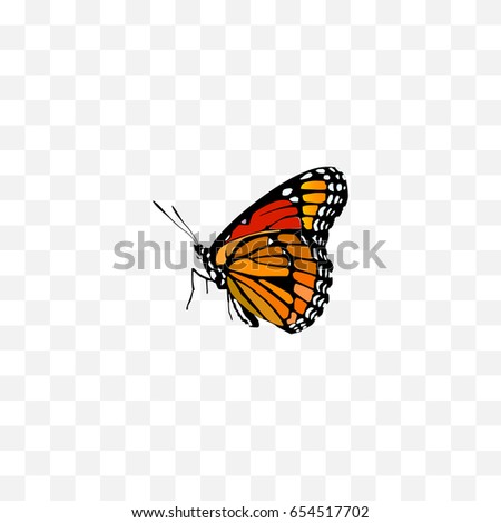 Realistic Painted Lady Element. Vector Illustration Of Realistic Milkweed Isolated On Clean Background. Can Be Used As Brown, Butterfly And Monarch Symbols.
