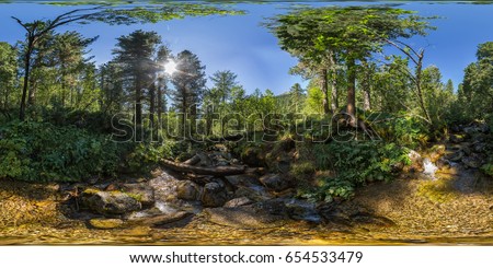 Spherical panorama 360 180 degrees creek in a dense green forest. Royalty-Free Stock Photo #654533479