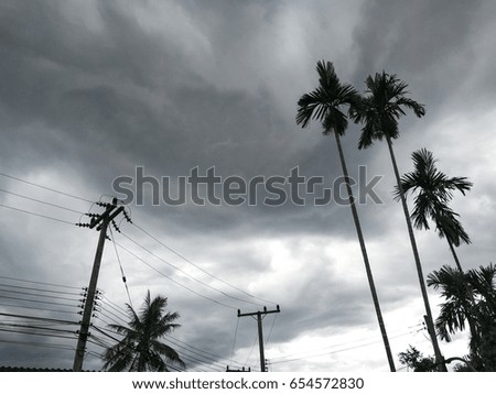 Power poles and palm trees have a rain cloud background.