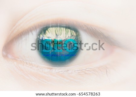 Human eyes with a seo logo.  the idea of promote traffic to website.