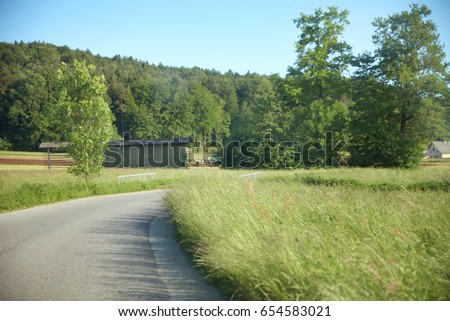 A high grass and a forest in the background.