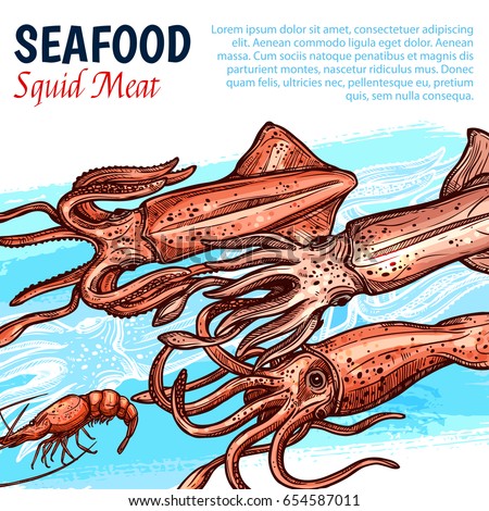 Seafood poster with squid meat for fishery market or fresh sea food shop and restaurant. Vector design template of fishing catch squids or shrimps and lobster, octopus or crab and cuttlefish