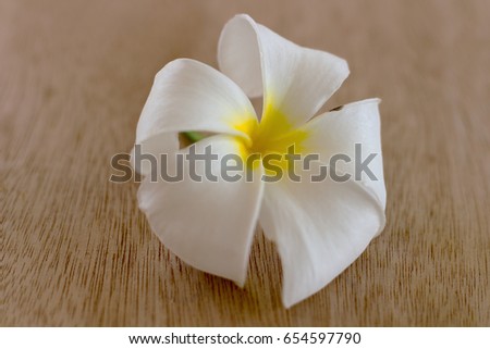 White flowers are on the wood for use as a background.