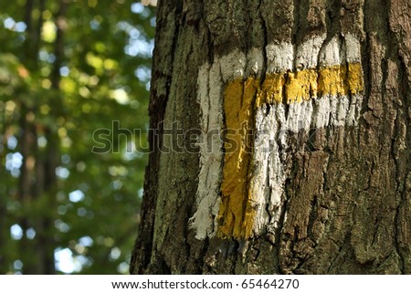 tree with hiking trail sign in forest