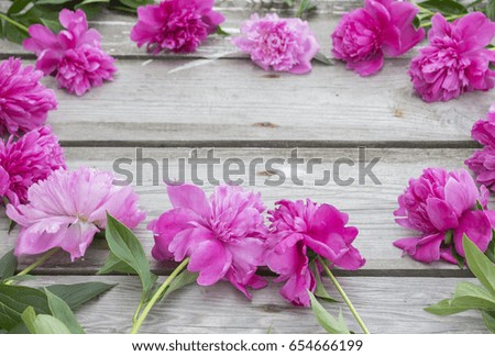 Pink peony flowers on wooden rough rustic background. Flower frame.