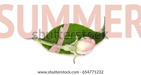 A layout of a postcard with a picture of a leaf and a flower and a place inside  for the inscription