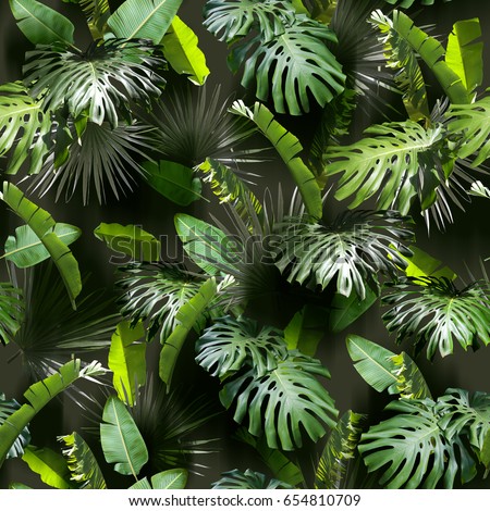 Tropical leaves pattern. Green leaf exotic plants seamless on a dark jungle background. Artistic photo collage for floral print. Natural leaves palm, banana, monstera template backdrop. Royalty-Free Stock Photo #654810709