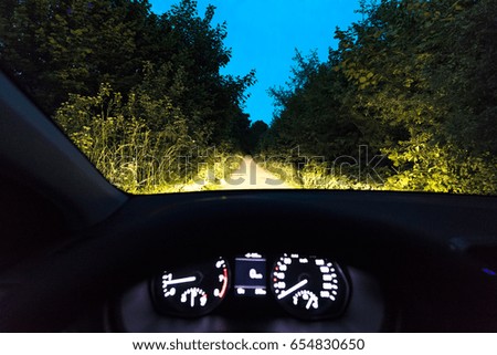 a road in the forest illuminated by car lights