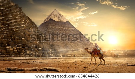 Nomad on camel near pyramids in egyptian desert Royalty-Free Stock Photo #654844426