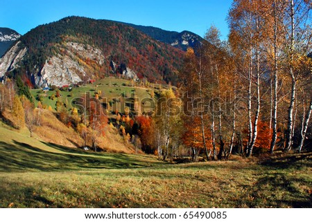 Fall landscape in Romanian Carpathians