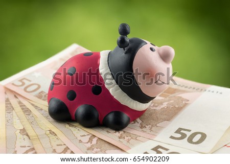 Ladybug sitting on 50 Euro Banknotes isolated with green Background