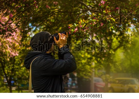 Photographer takes pictures of apple blossoms and green leaves on a tree