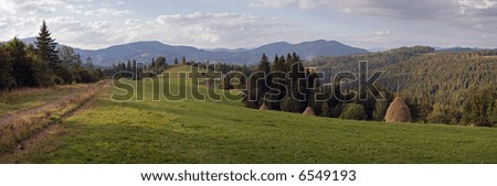 Summer mountainous green meadow with stackes of hay (Slavske village, Carpathian Mts, Ukraine). Eight shots composite picture.