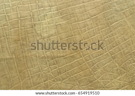 detail of african elephant pelt, natural real texture