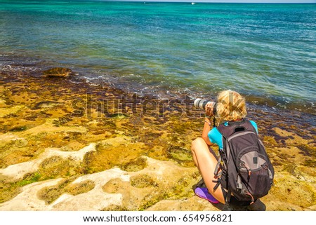 Travel photographer takes shot of green sea turtles in Laniakea Beach also known as Turtle Beach. Nature woman photographer taking pictures outdoors. Oahu island, North Shore in Hawaii, USA.