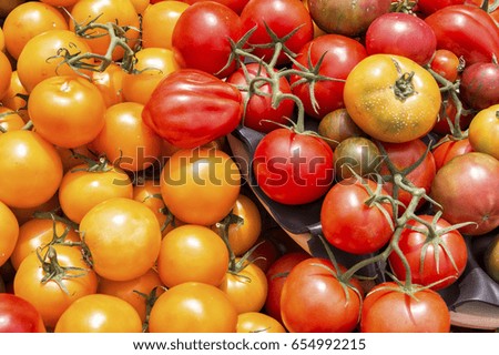 Organic tomatoes of various types on display in a outdoor market
