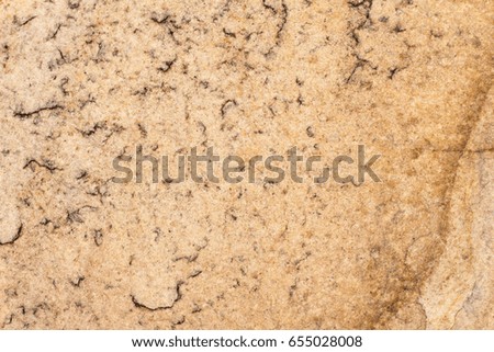 rock texture , stone surface , detail of sandstone , boulder skin