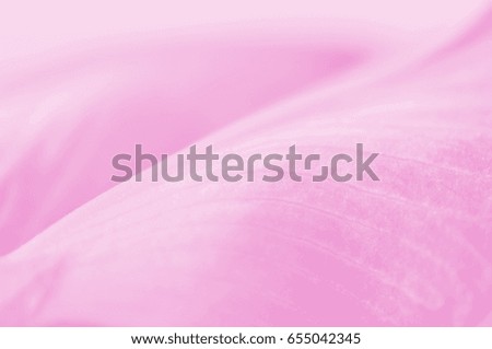 Abstract blurred light pink flower background