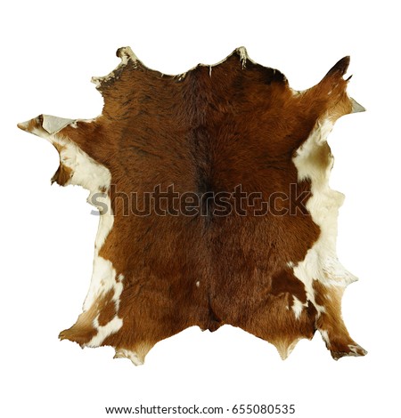 Animal skin leather isolated on white background. This has clipping path.                     Royalty-Free Stock Photo #655080535