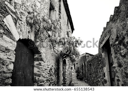 Castelnou (France) Narrow streets of medieval village classified among "the most beautiful villages in France" decorated with blooming wisteria. Black and white.