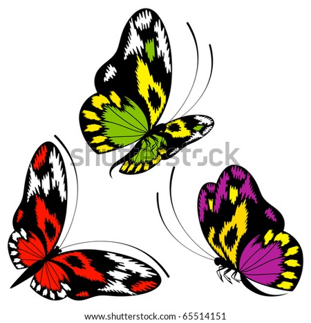 Tropical butterfly are isolated on a white background