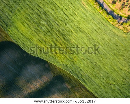 Aerial top view of a green field. Summer season. 