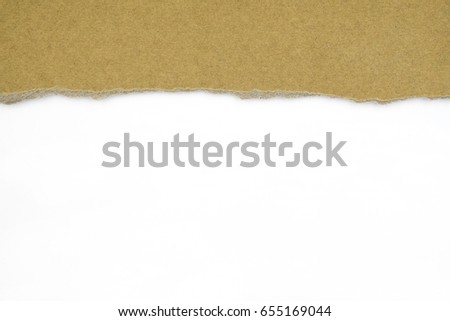 Torn Paper with space for text with white background