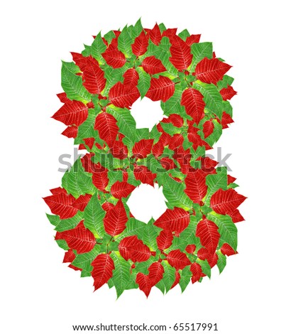 Number from poinsettia