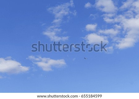 white fluffy clouds in the blue sky with three birds.